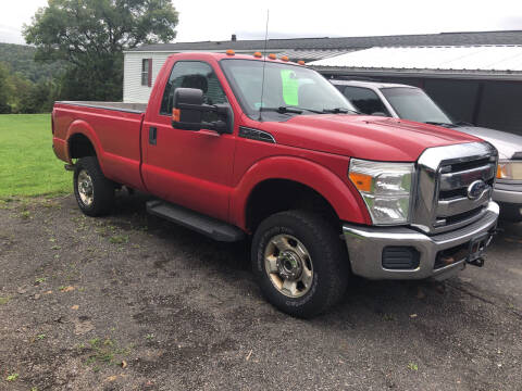 2011 Ford F-350 Super Duty for sale at CENTRAL AUTO SALES LLC in Norwich NY