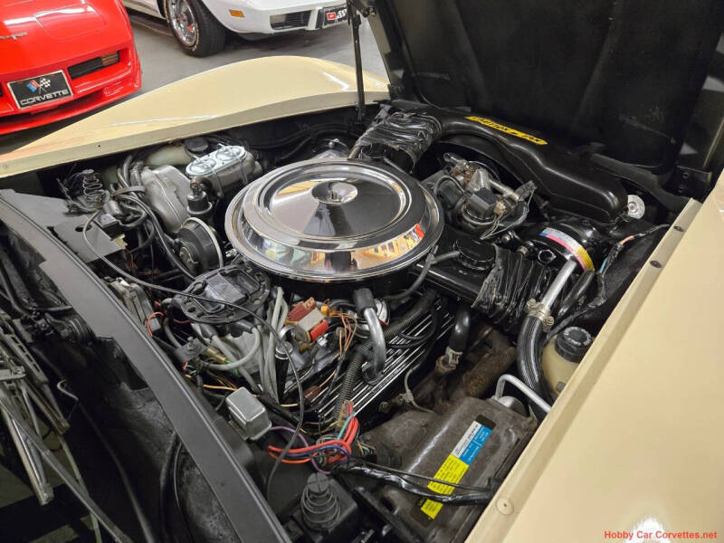 1981 Chevrolet Corvette