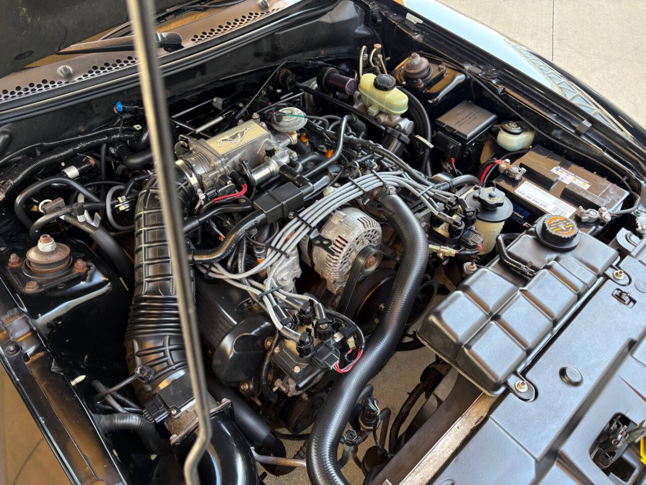 1998 Ford Mustang 73