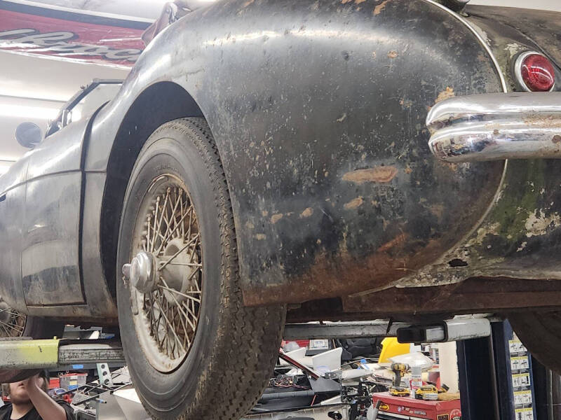 1955 Austin-Healey 100.4 BN1