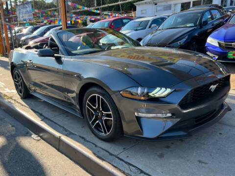 2020 Ford Mustang for sale at Sylhet Motors in Jamaica NY