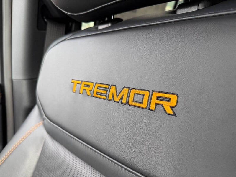 2025 Ford Expedition Tremor
