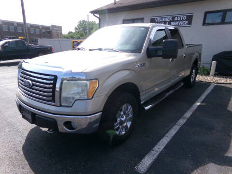 2010 Ford F-150