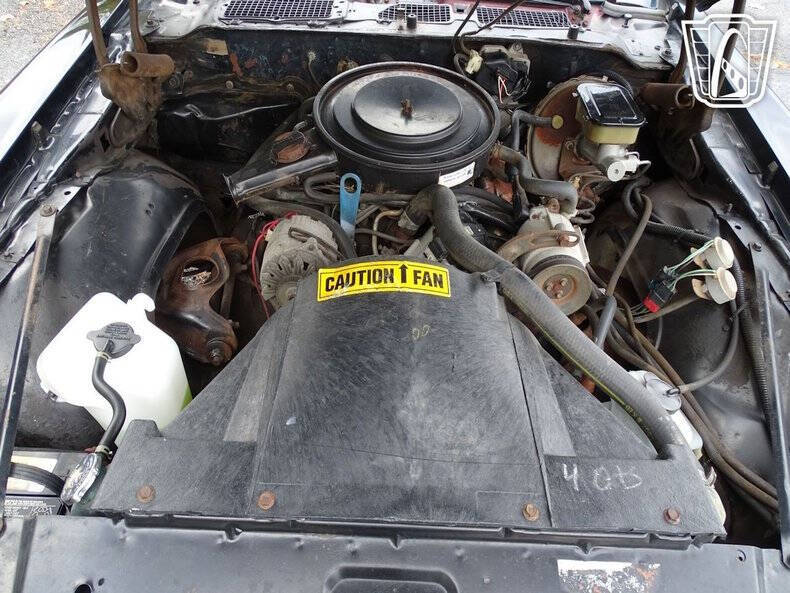 1981 Pontiac Firebird