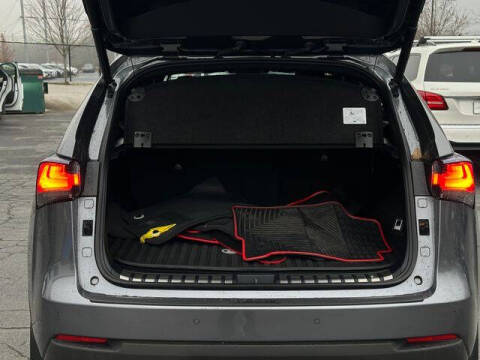 2021 Lexus NX 300 F SPORT