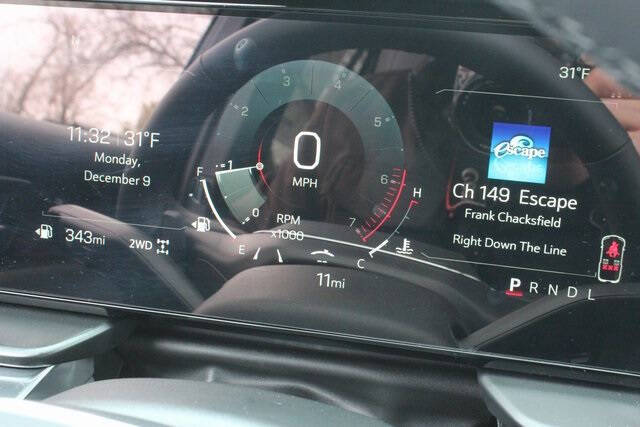 2025 GMC Terrain Elevation