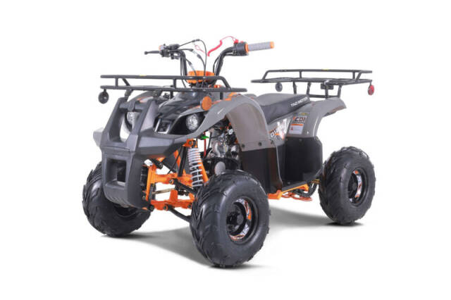 2023 TAO MOTORS D 125 ATV for sale at Advanti Powersports in Mesa, AZ