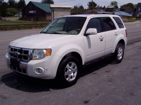 2011 Ford Escape for sale at The Autobahn Auto Sales & Service Inc. in Johnstown PA