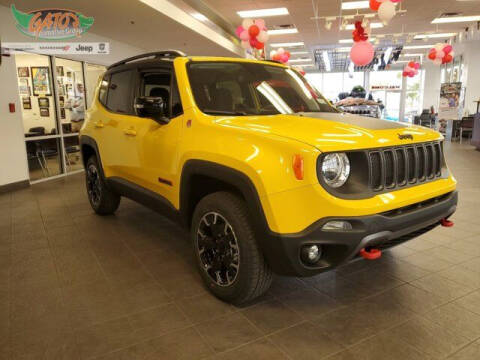 2023 Jeep Renegade for sale at GATOR'S IMPORT SUPERSTORE in Melbourne FL