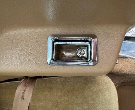 1981 Pontiac Firebird Trans Am