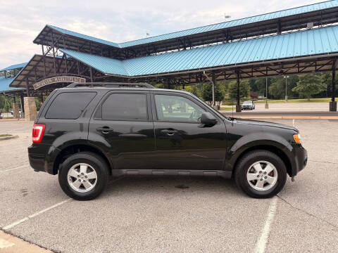 2011 Ford Escape XLT