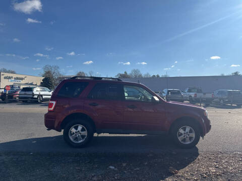 2009 Ford Escape XLT