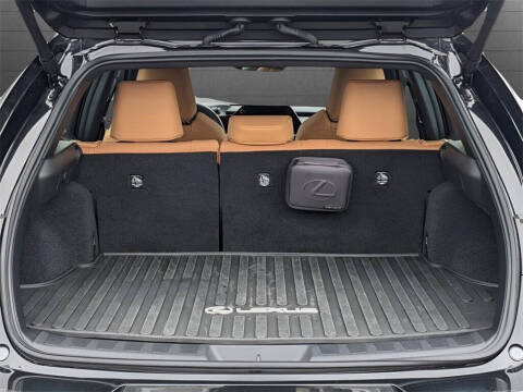 2025 Lexus UX 300h Premium