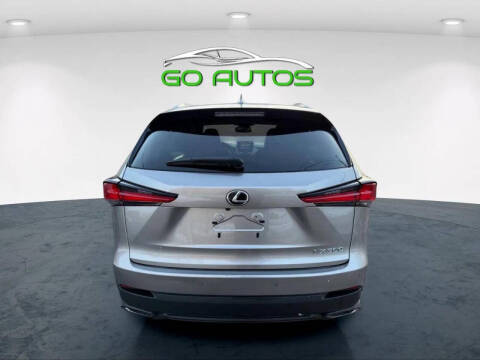 2019 Lexus NX 300 F SPORT