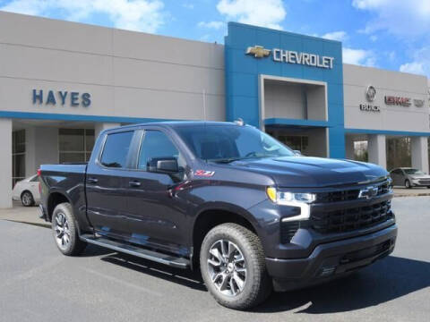 2022 Chevrolet Silverado 1500 for sale at HAYES CHEVROLET Buick GMC Cadillac Inc in Alto GA