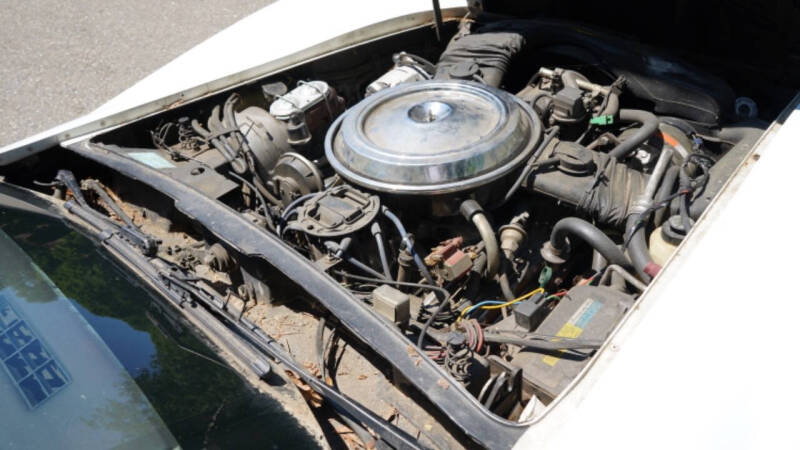 1981 Chevrolet Corvette