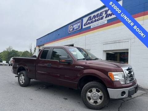 2010 Ford F-150 for sale at Amey's Garage Inc in Cherryville PA