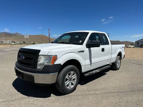 2014 Ford F-150 for sale at Brand X Inc. in Carson City NV