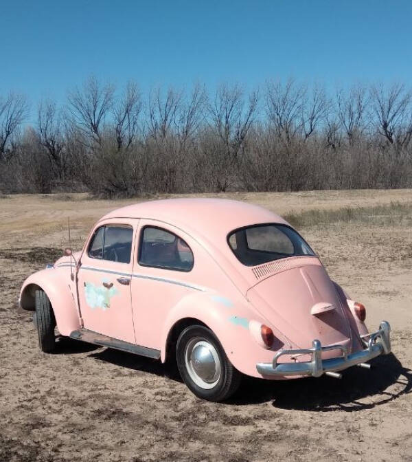 1964 Volkswagen Beetle