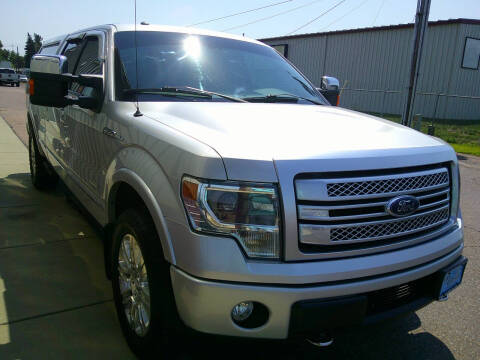 2013 Ford F-150 Platinum