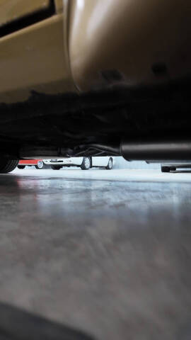 1979 Pontiac Trans Am