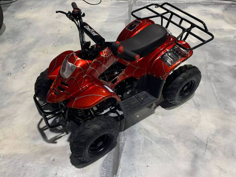 2019 Coolster Mountopz 110