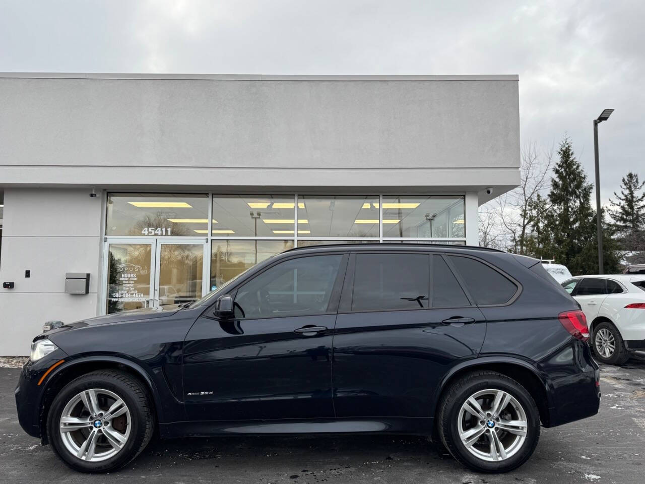 2014 BMW X5 for sale at Opus Motorcars in Utica, MI