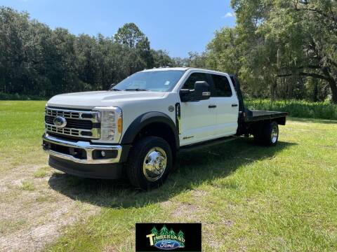 2023 Ford F-450 Super Duty for sale at TIMBERLAND FORD in Perry FL