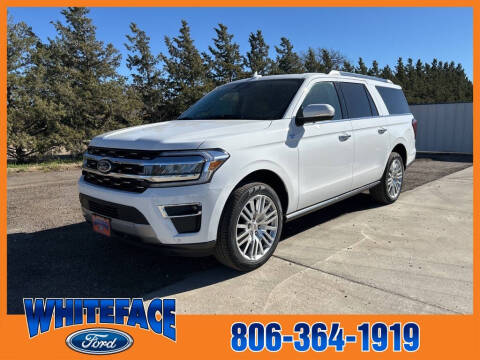 2024 Ford Expedition MAX for sale at Whiteface Ford in Hereford TX