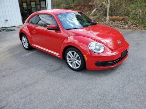 2012 Volkswagen Beetle for sale at DISCOUNT AUTO SALES in Johnson City TN