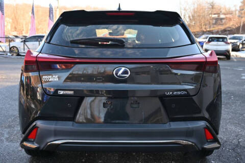 2021 Lexus UX 250h F SPORT
