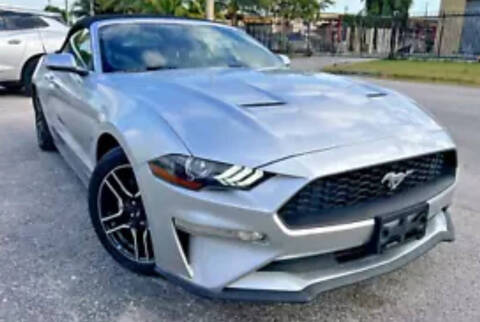 2019 Ford Mustang for sale at Vice City Deals in Doral FL