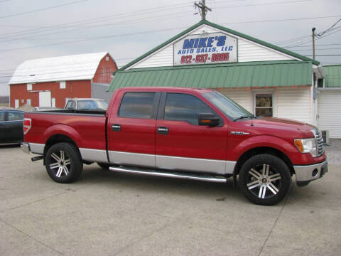 2012 Ford F-150 for sale at Mikes Auto Sales LLC in Dale IN