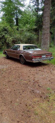 1979 Chevrolet Caprice