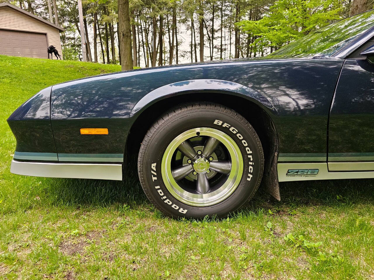 1982 Chevrolet Camaro 24