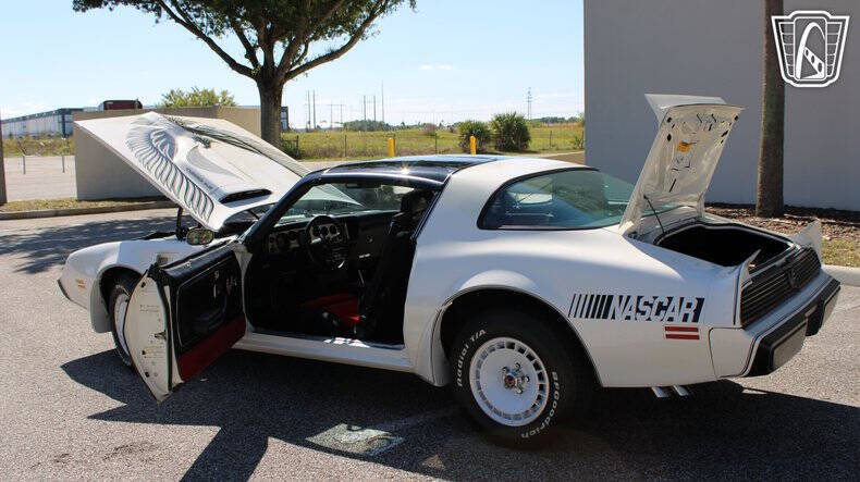 1981 Pontiac Firebird Trans Am SE Turbo