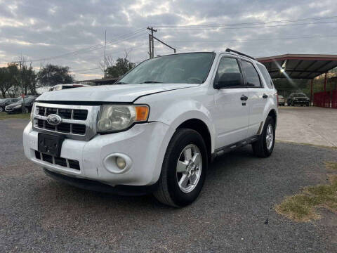 2010 Ford Escape XLT