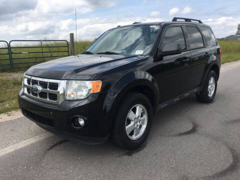 2012 Ford Escape for sale at Hitt & Mis Auto in Cape Girardeau MO