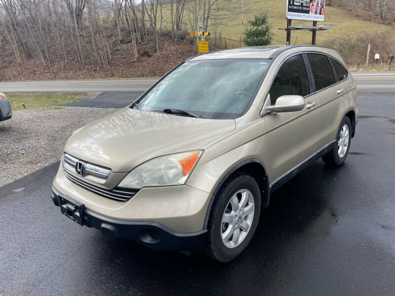 2009 Honda CR-V for sale at R C MOTORS in Vilas NC