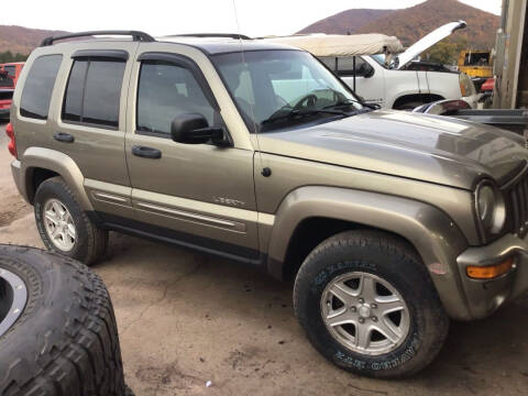 2004 Jeep Liberty for sale at Troy's Auto Sales in Dornsife PA