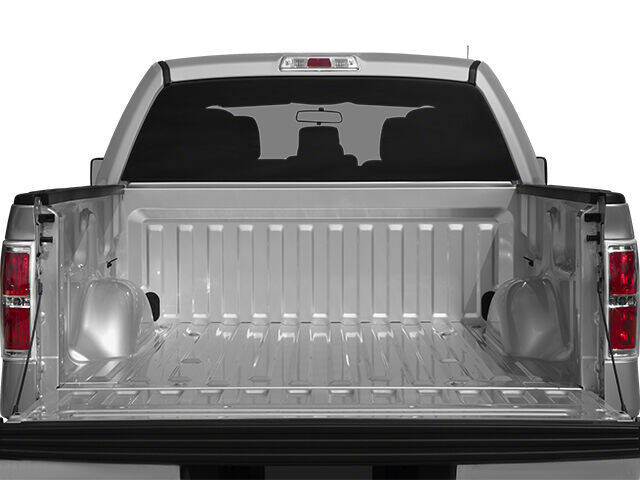 2014 FORD F-150 Pickup - $15,997