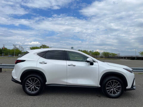 2024 Lexus NX 250