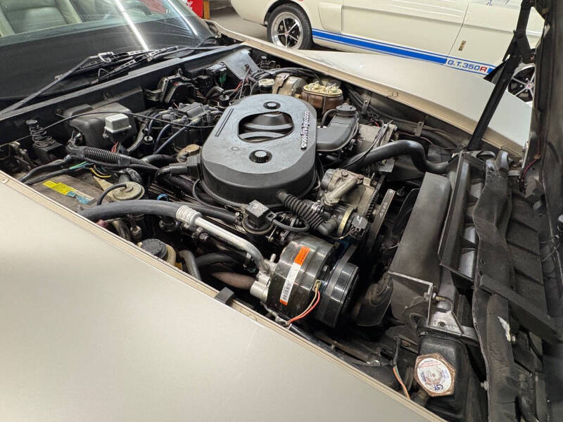 1982 Chevrolet Corvette Collector Edition