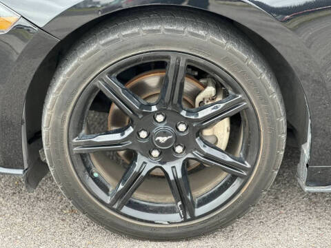 2019 Ford Mustang