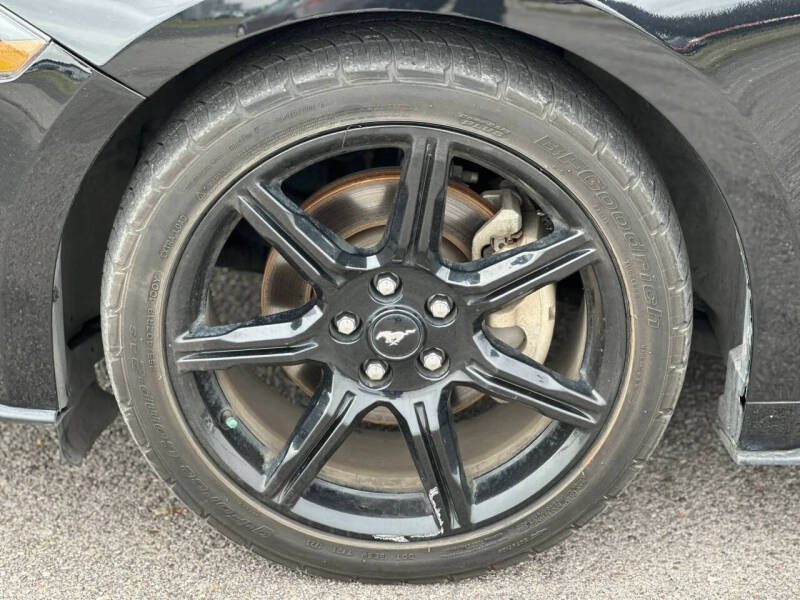 2019 Ford Mustang