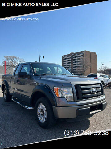 2012 Ford F-150 for sale at BIG MIKE AUTO SALES LLC in Lincoln Park MI