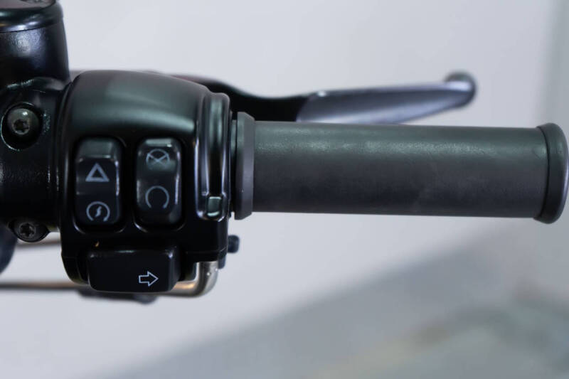 2021 Harley-Davidson Iron 883