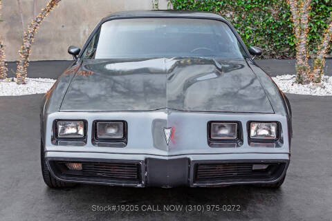 1981 Pontiac Firebird Trans Am SE Turbo