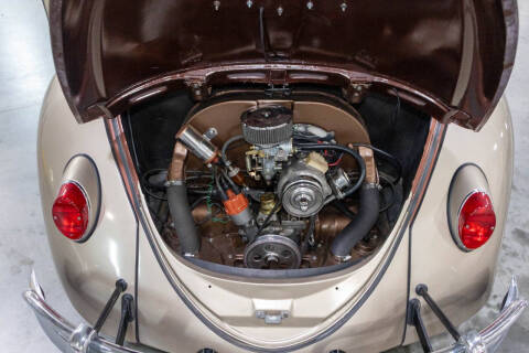 1965 Volkswagen Beetle