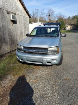 2008 Chevrolet TrailBlazer for sale at Dirt Cheap Cars in Pottsville PA